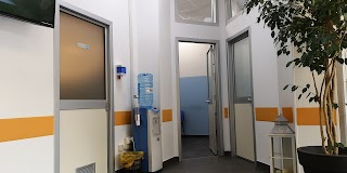 Centro Traumatologico Ortopedico Veterinario