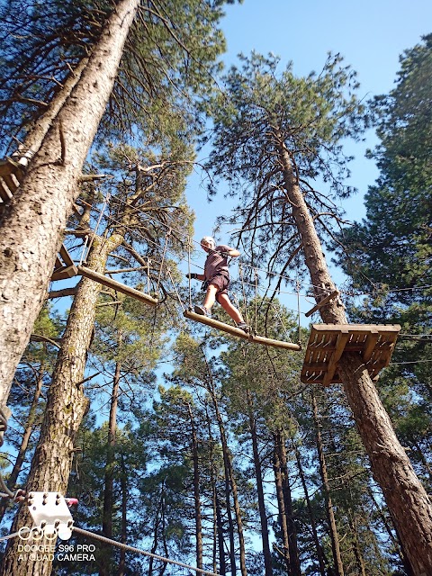 Parco Avventura dei Peloritani