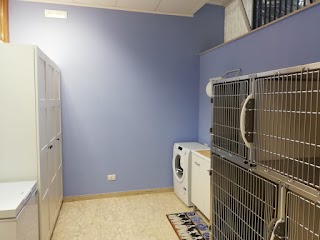 AMBULATORIO VETERINARIO ARTÙ