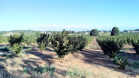 Agriturismo il Poggio