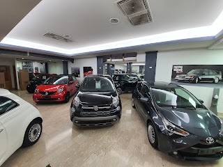 Miami Auto Srls