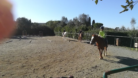 Scuola Equitazione Fiorentina