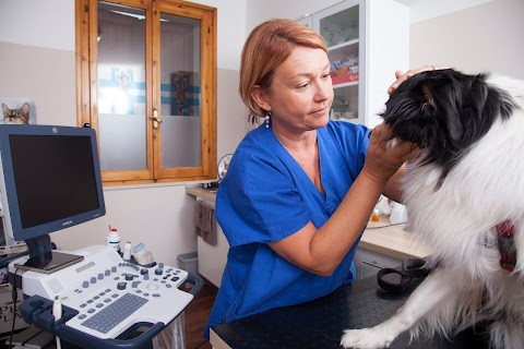 Studio Veterinario La Fenice