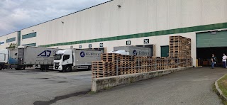 D'Alterio Group - Divisione Logistica S.R.L. (ROMENTINO)