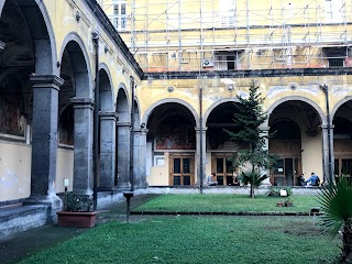 Università degli Studi di Napoli Federico II - Dipartimento di Medicina Veterinaria e Produzioni Animali