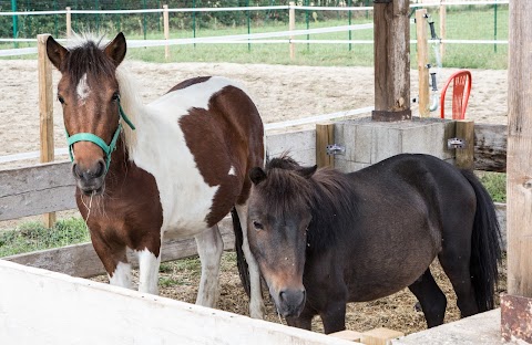 Passeggiate a Cavallo in provincia di Milano - Scuderia Esposito