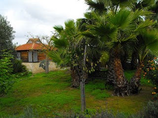 Agriturismo Casale Del Conte di Mantello Maria Anna (Sala Trattenimenti, Pizzeria, Dépendance)