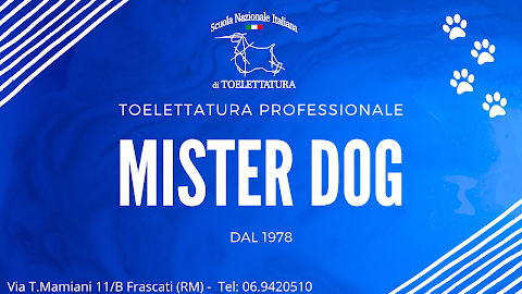 Mister Dog Frascati