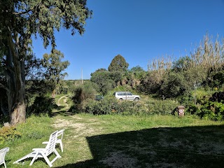 L'Agave e la Palma Nana