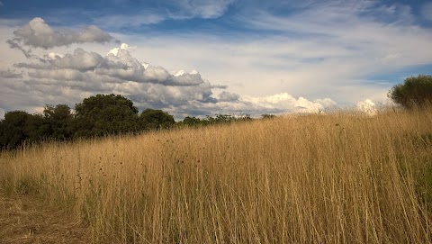 Tenuta di Tormarancia