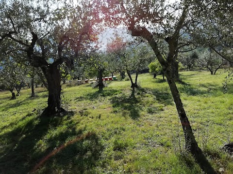 agriturismo Solaia