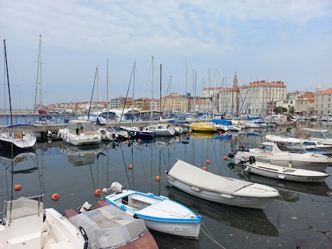 Pirat Piran