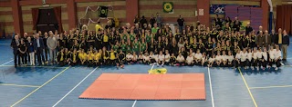 Volley Fortitudo