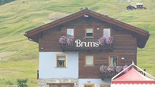 Brums Bimbus Livigno