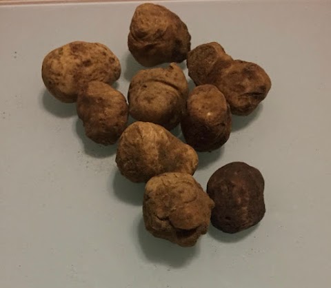 Piedmont Truffles