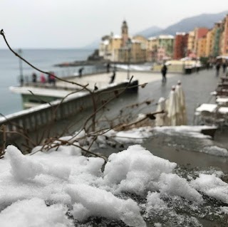 Camogli Case Camogli