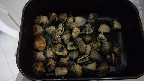 Pescheria Impero