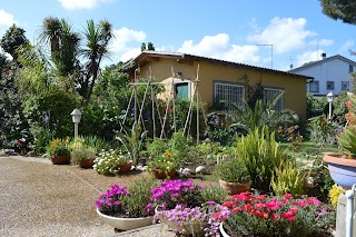 A Le Cicale B&B