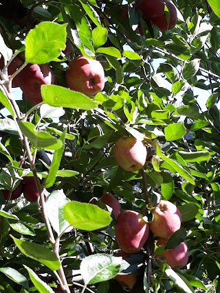 Società Agricola Melavì