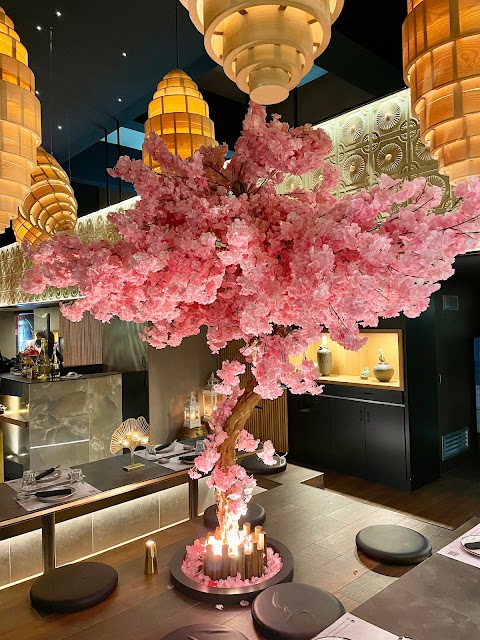 Hanami Sushi Restaurant