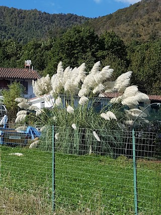 Molino di Punta