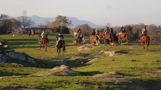 Caino Asde - Passeggiate A Cavallo