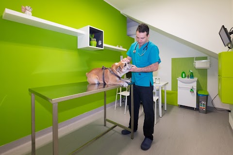 Centro Veterinario Città delle Ville