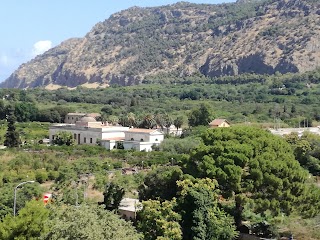 Il giardino delle meraviglie