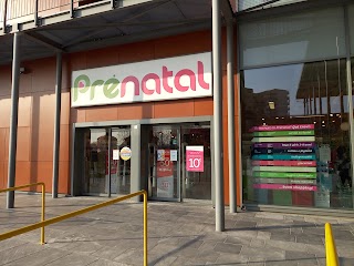 Prénatal