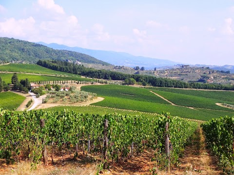 Enoteca "Remole - la Cantina" di Marchesi Frescobaldi