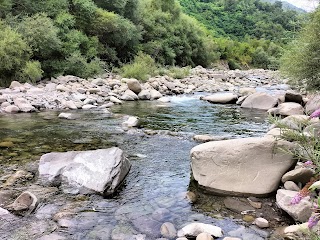 Campeggio Le Betulle