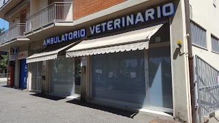 Clinica Veterinaria Ariosto