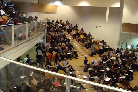 Scuola di Psicoterapia SEF Napoli Catania Padova Roma Trieste