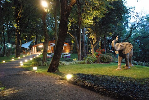 Lo chalet nel bosco magico