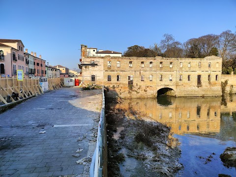 Pescheria del Mercato