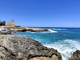 Torre Cafè