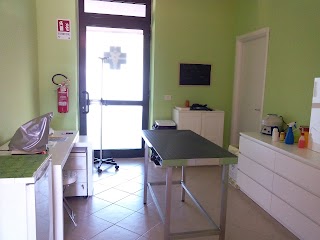 Ambulatorio Veterinario Piemonte