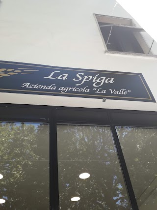 La Spiga Azienda Agricola ¨La Valle¨