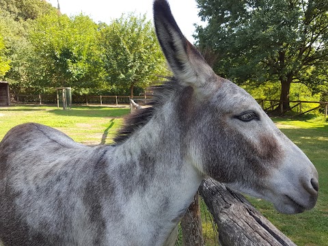 Fattoria Didattica del Parco Giardino Sigurtà