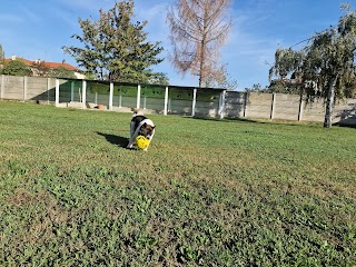 IL VILLAGGIO DEL CANE