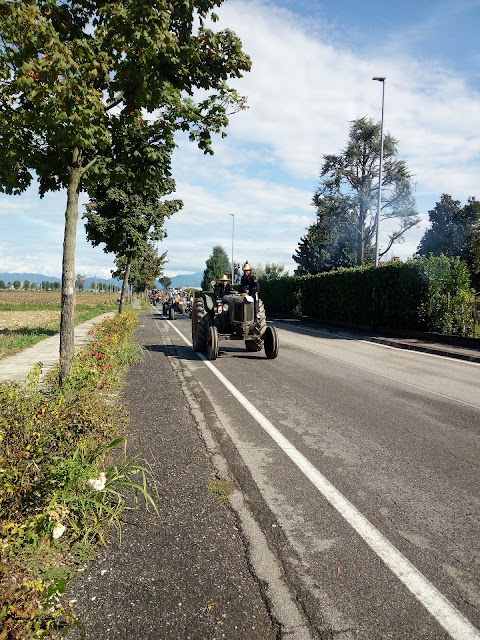 Termosolex di Montini Stefano