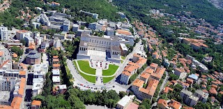 Dipartimento Universitario Clinico di Scienze Mediche Chirurgiche e della Salute