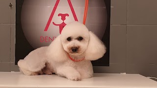 denti aguzzi petspa & boutique