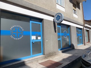 Centro Veterinario Nus