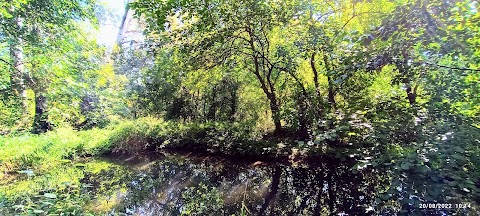 Oasi Bosco di Montorfano