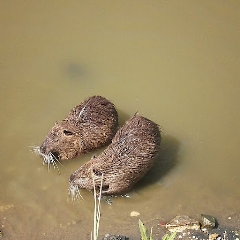 Oasi naturale delle saline