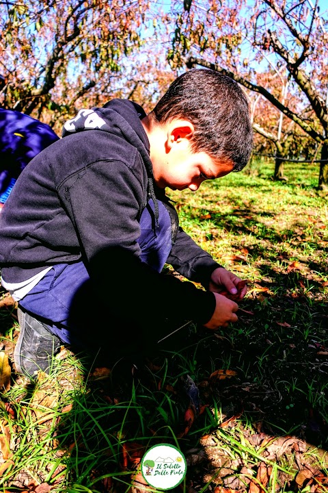 Il Salotto Delle Fiabe - Scuola dell'Infanzia-Asilo Nido-Eventi Outdoor-Campo estivo