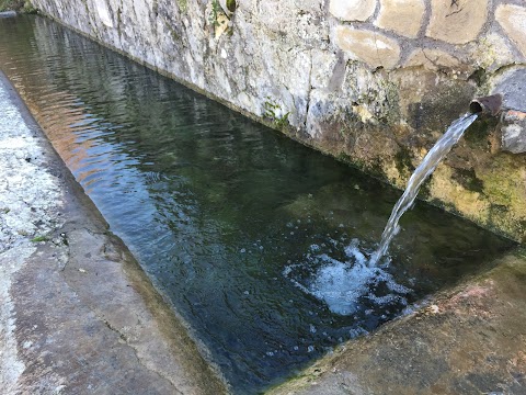 Fontanile di Arcinazzo