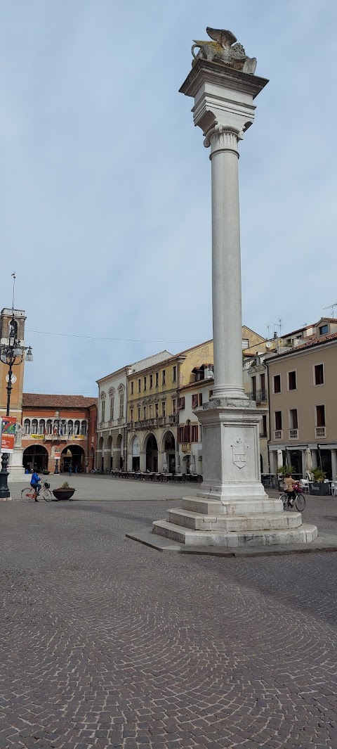 Vi. Gi. Di Vincenzi M. E Giliberti V. Snc