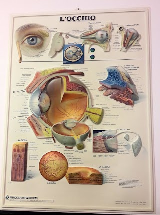 Tarantello Dott. Rossano Oculista